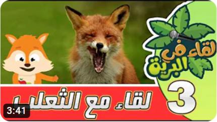 لقاء في البرية | الحلقة الرابعة | لقاء مع الثعلب