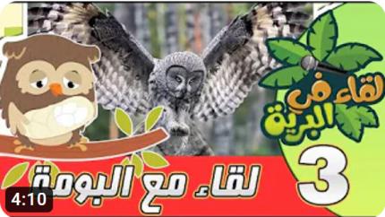 لقاء في البرية | الحلقة الثالثة | لقاء مع السيدة بومة