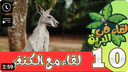لقاء في البرية | الحلقة العاشرة | لقاء مع الكنغر