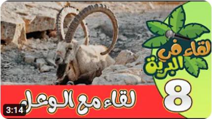 لقاء في البرية | الحلقة الثامنة | لقاء مع الوعــل