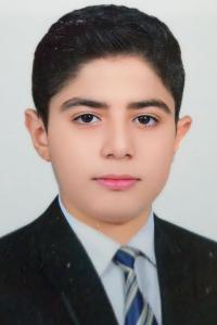مصطفى أمير عامر