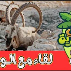 لقاء في البرية | الحلقة الثامنة | لقاء مع الوعــل
