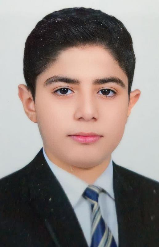 مصطفى أمير عامر