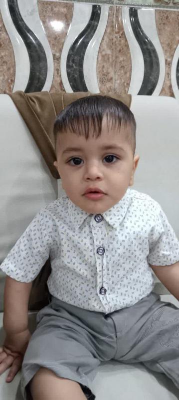 عباس علي عواد